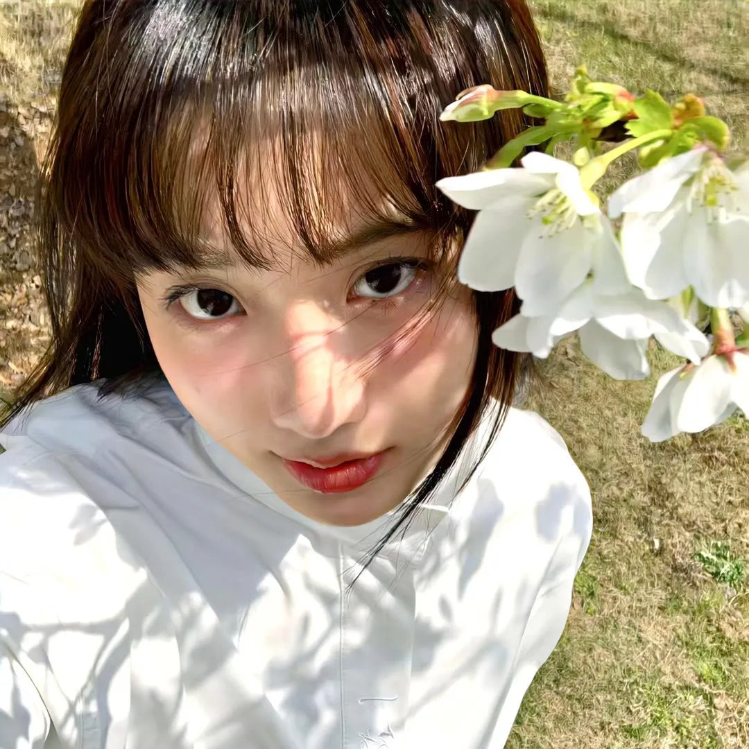 长尾豹马修海报
